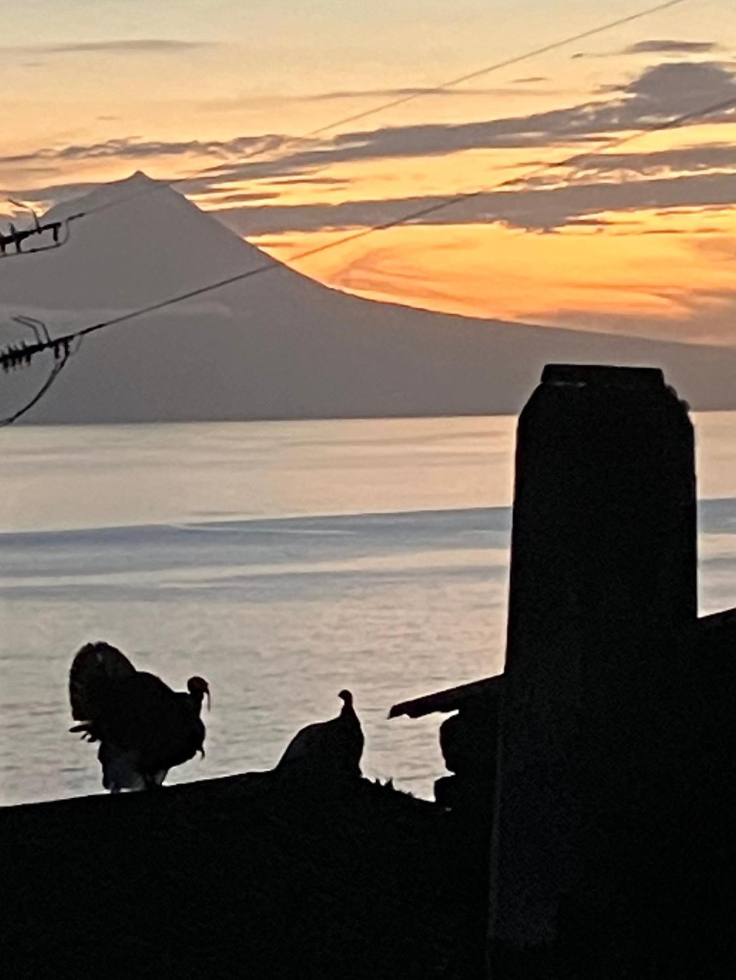 Vistalinda Farmhouse Faja dos Vimes Bagian luar foto